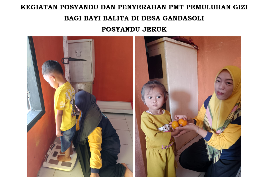 KEGIATAN POSYANDU DAN PENYERAHAN PMT PEMULUHAN GIZI  BAGI BAYI BALITA DI DESA GANDASOLI