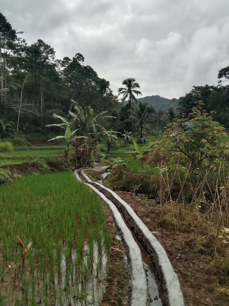 REALISASI ANGGARAN PEMBANGUNAN IRIGASI KP. CIBODAS